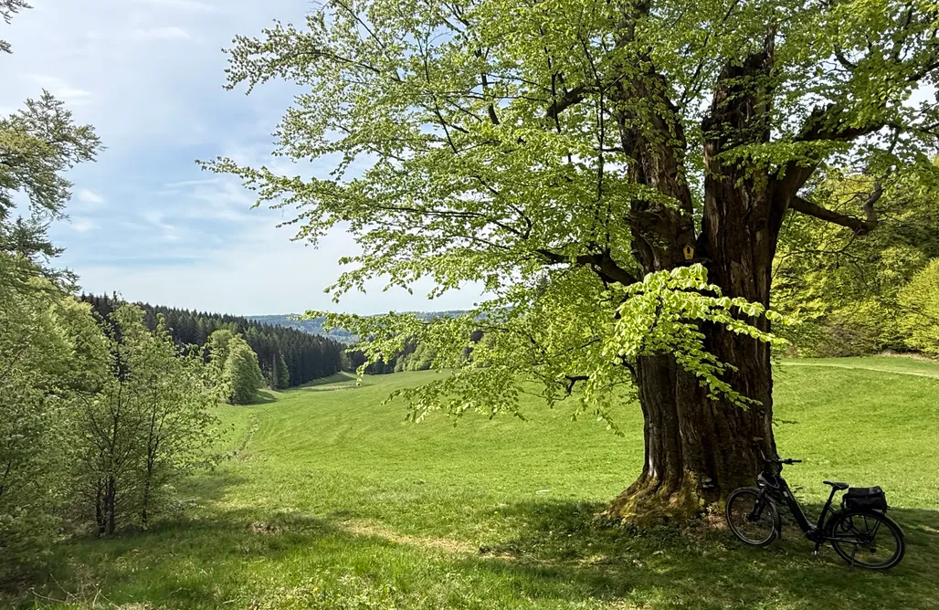 Unterkunft AlohaCamp Ferienhäuser Feuerzauber 1