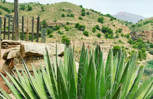 Imagen de Casa rural Rio Chicamo