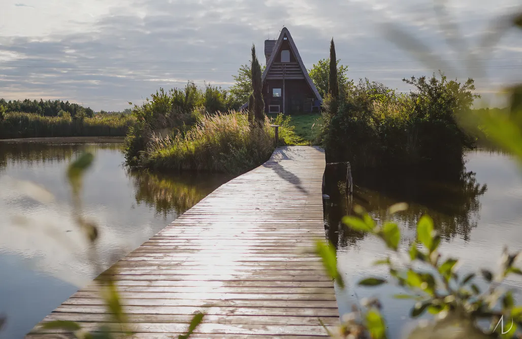 AlohaCamp accommodation Domek na wyspie w otoczeniu natury 5