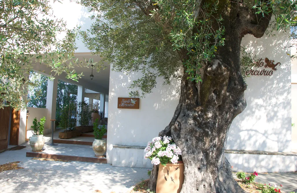 Alloggio AlohaCamp Santo Mercurio Country House 5