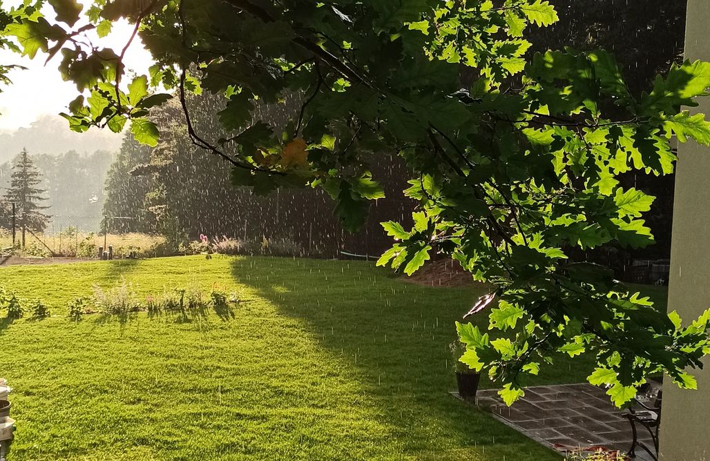 hebergement AlohaCamp Cicho-Ciszej Dom całoroczny 7-osobowy 4