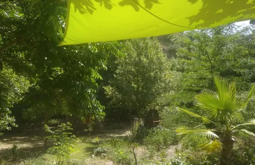 Imagen de Sitio para tiendas de campaña: La Molina