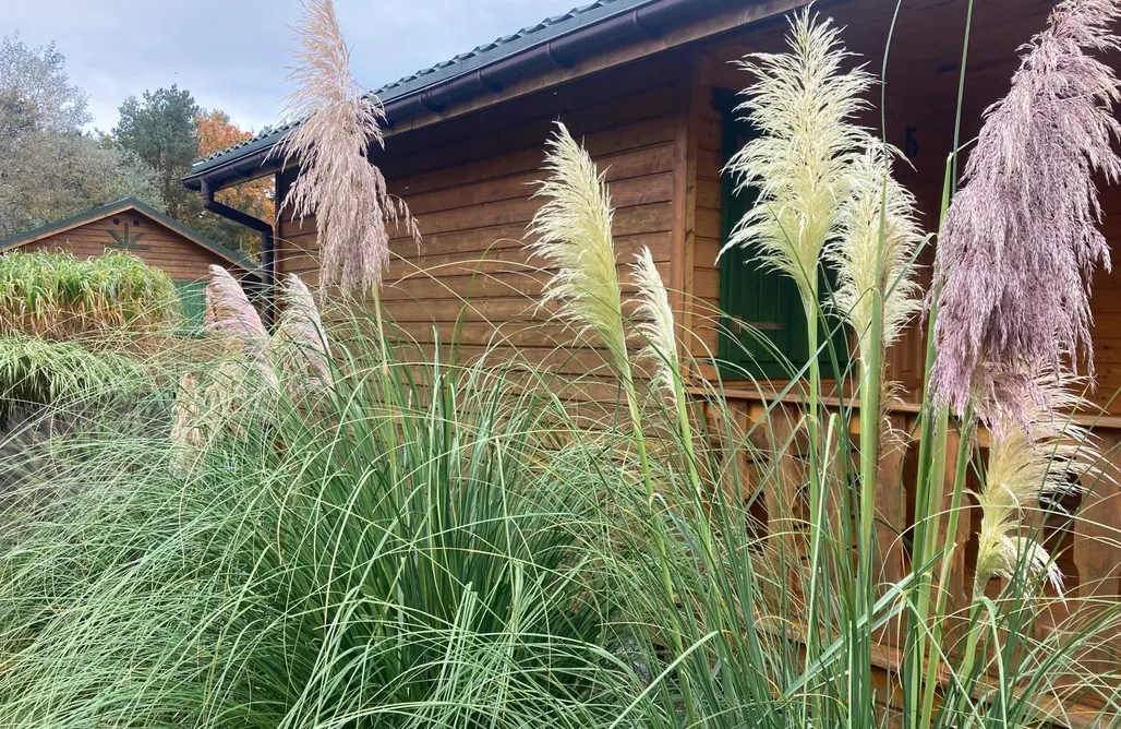 noclegi AlohaCamp Słoneczna Polana 4