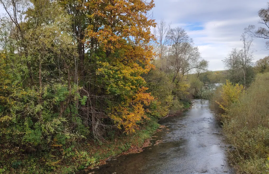 noclegi AlohaCamp Lisi Zakątek  1