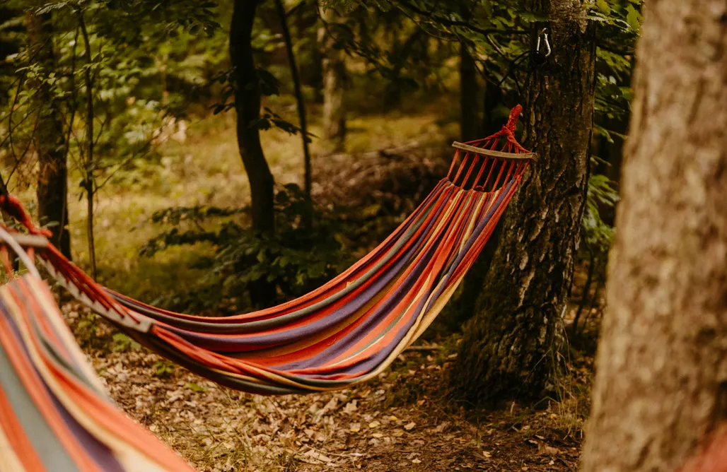 AlohaCamp accommodation Głuszecki Las 1