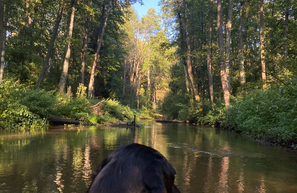 Weekend Dla Dwojga Roztocze Pszczoła i Przyjaciele  1