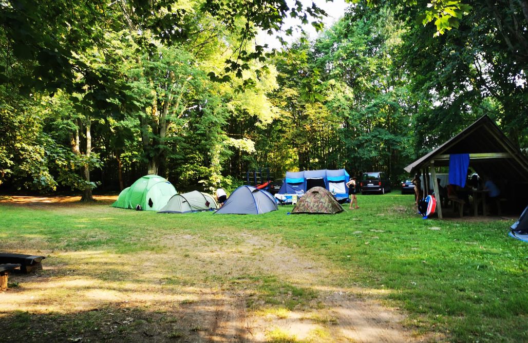 Pole namiotowe Bory Tucholskie Miejsce kamperowe i namiotowe - Agroturystyka Gęsiniec Stare Osieczno  3