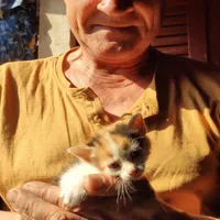 Janek hostiteľ Dom z basenem nad Narwią