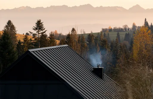 Zdjęcie obiektu Hebanowe