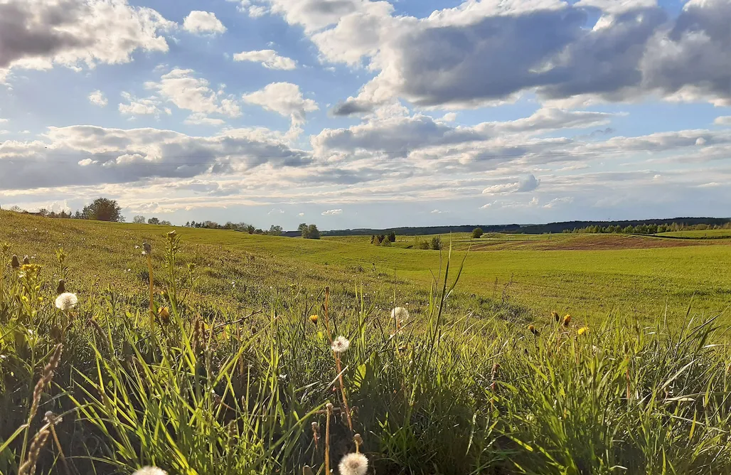 Unterkunft AlohaCamp Haus in der Suwalki-Region 1