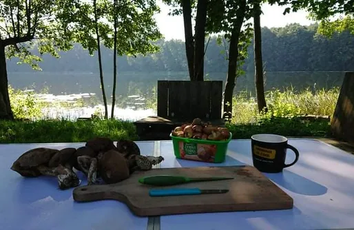 Zdjęcie obiektu Miejsce kamperowe i namiotowe - Agroturystyka Nasza Osada Obozin