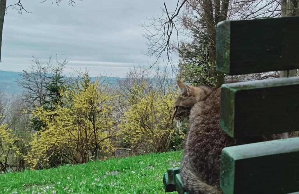 noclegi AlohaCamp Ayur Garden Lanckorona 4