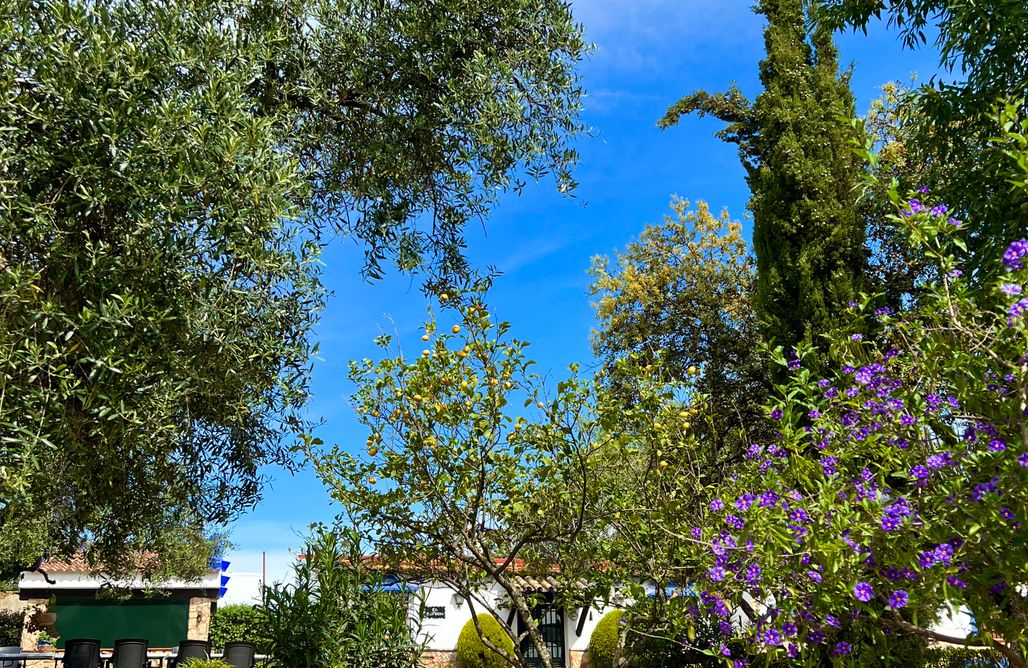 AlohaCamp Casa El Mirador 1