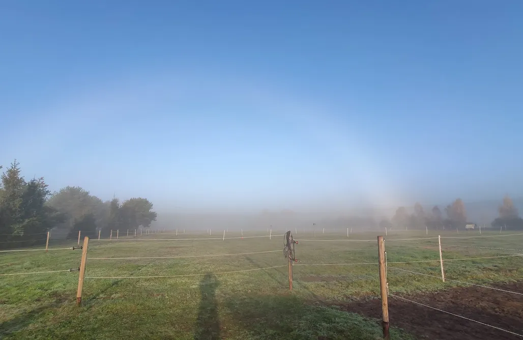 Domek marzeń  AlohaCamp