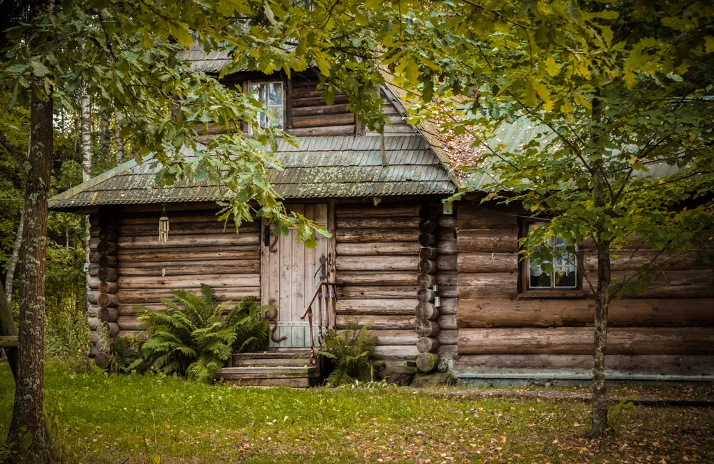 Noclegi Białystok Chatka w lesie 1