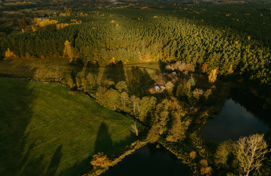 Obserwatorium | Patoki. Dom i las. AlohaCamp