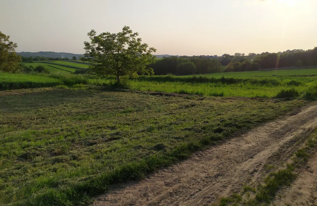 noclegi AlohaCamp Miejsce Kamperowe - widokowy parking niedaleko Wieliczki i Krakowa, Zborczyce 1