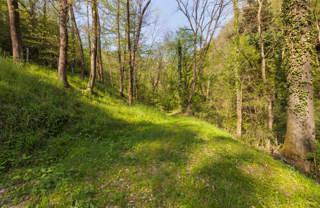 Antico Mulino Baderem AlohaCamp