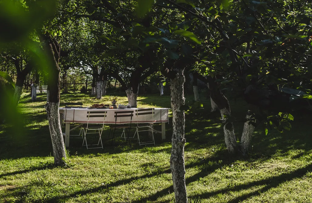 AlohaCamp accommodation Wietorówka 3