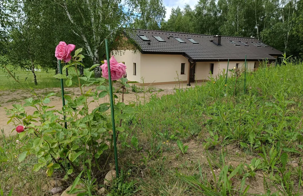 Ukojenie Naturą AlohaCamp