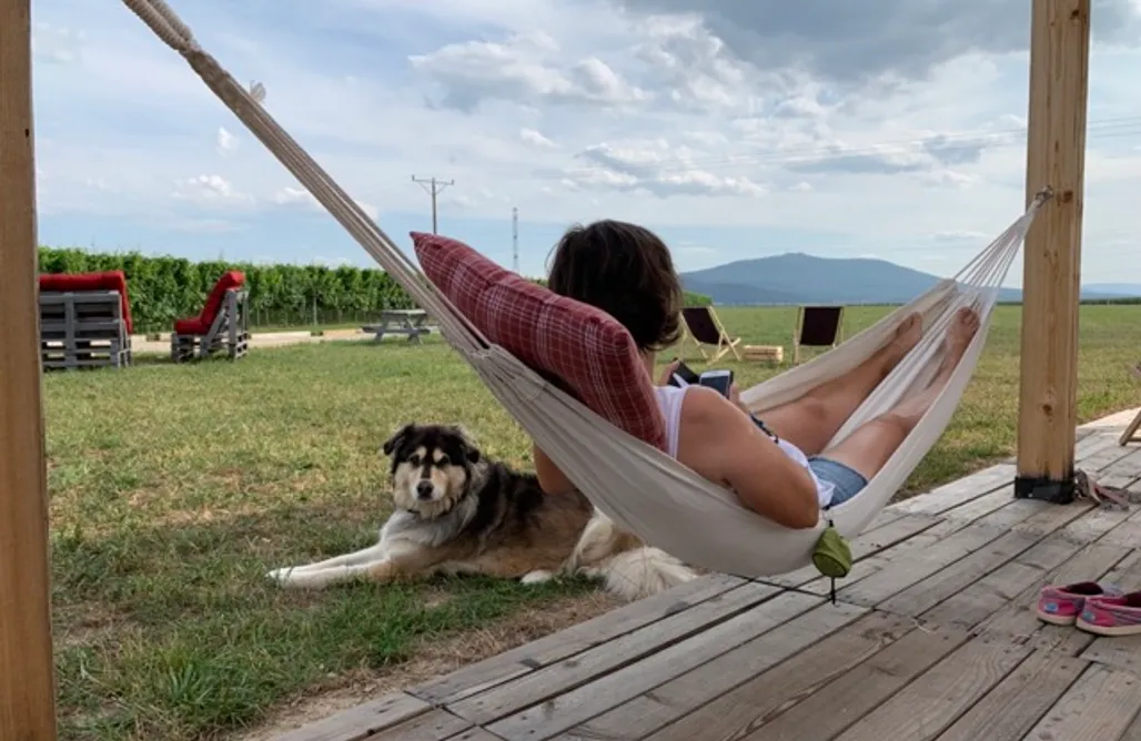 Camping Kraków Miejsce kamperowe - Winnica Silensi 1