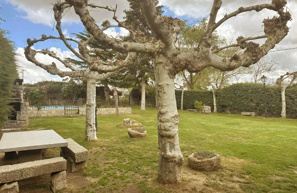 Casas Rurales Con Piscina Madrid El Cordel 3