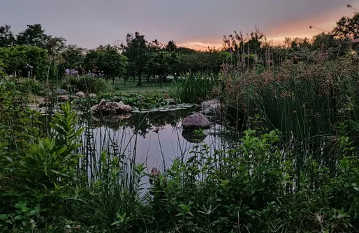 Imagen de Sitio para autocaravanas y tiendas de campaña: Ecocamp Vinyols 