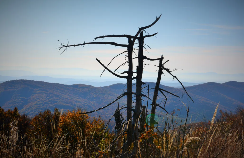 noclegi AlohaCamp Czadzie Sioło 1