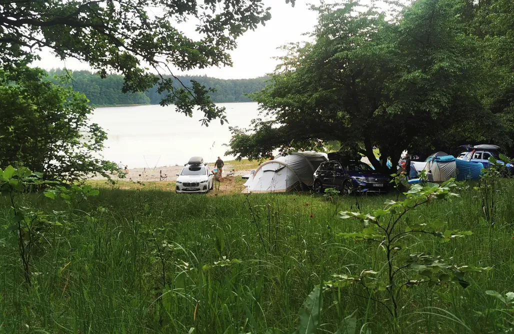 AlohaCamp Miejsce pod namiot - pole nr 1 - bez prądu 4