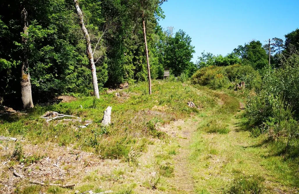 Unterkunft AlohaCamp Frielingen Lüttje Heide Huus 5