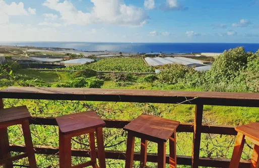 Imagen de Cabañas en Tenerife