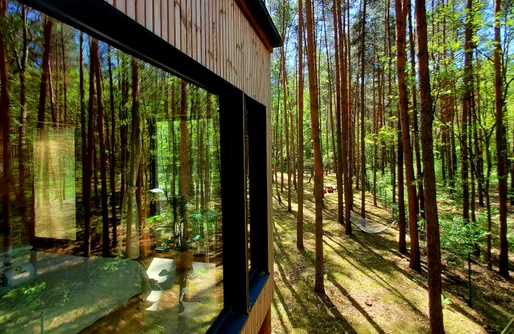 Zdjęcie obiektu Tree Houses Olszanka