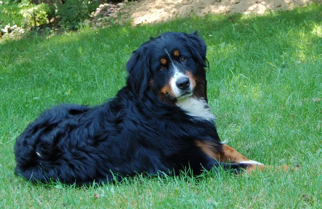 AlohaCamp Domek Zofiówka 1