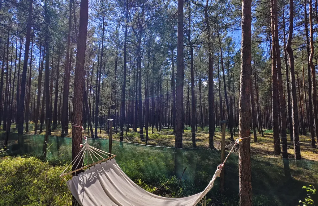 Dom na wodzie Bydgoszcz Zew natury - glamping 1