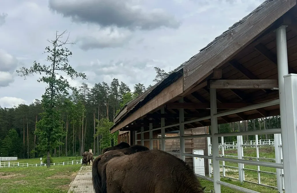 noclegi AlohaCamp Stacja Ruda 5