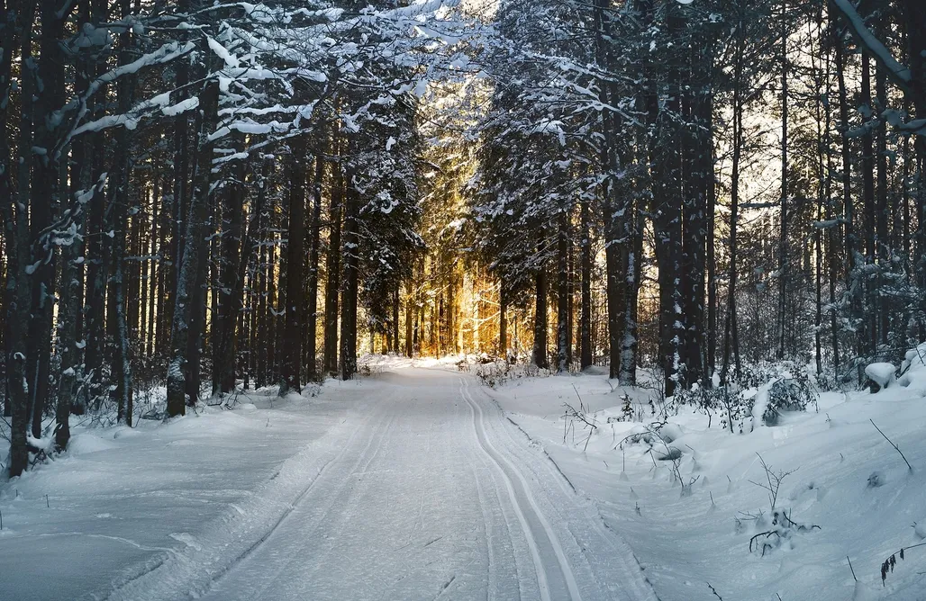 AlohaCamp Habitaciones con jacuzzi 1