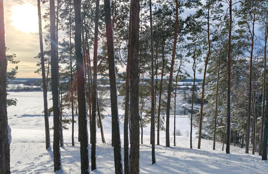 noclegi AlohaCamp Wschód & Zachód domek Zachód 1
