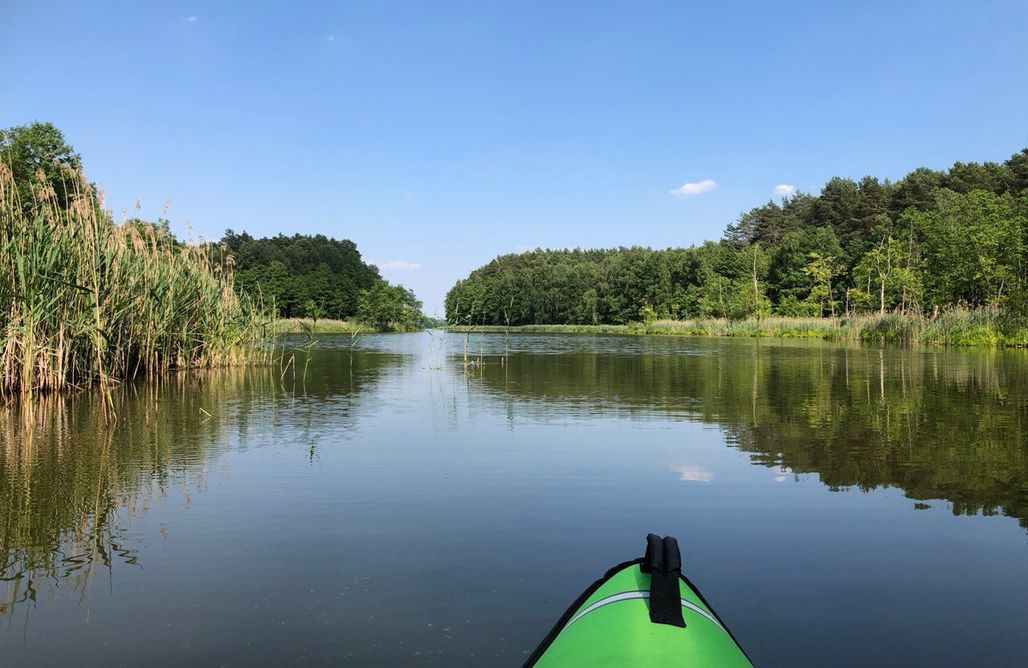 noclegi AlohaCamp Las Biala's - domki z sauną i jacuzzi w Puszczy Noteckiej (18+) 1