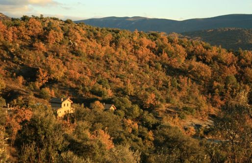 Imagen de La Casa del Forn by Terra del Congost