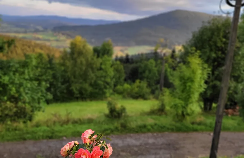 Alloggi AlohaCamp Zielone Wzgórze 393 4