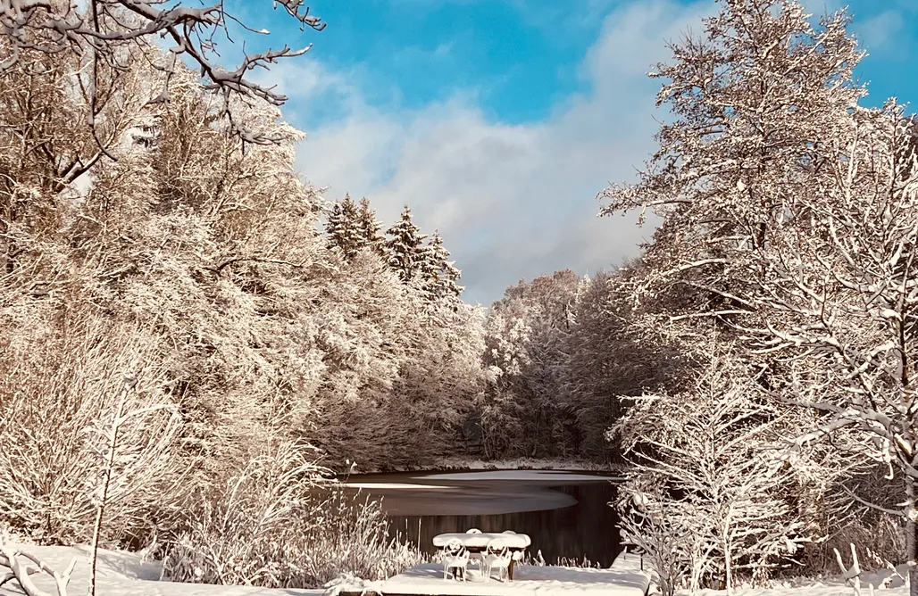 alojamientos AlohaCamp dALL 5