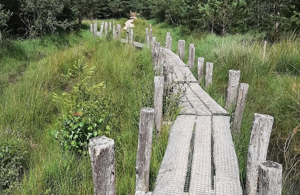 Hütte im Wald Mieten NRW Hermelijn 2 1