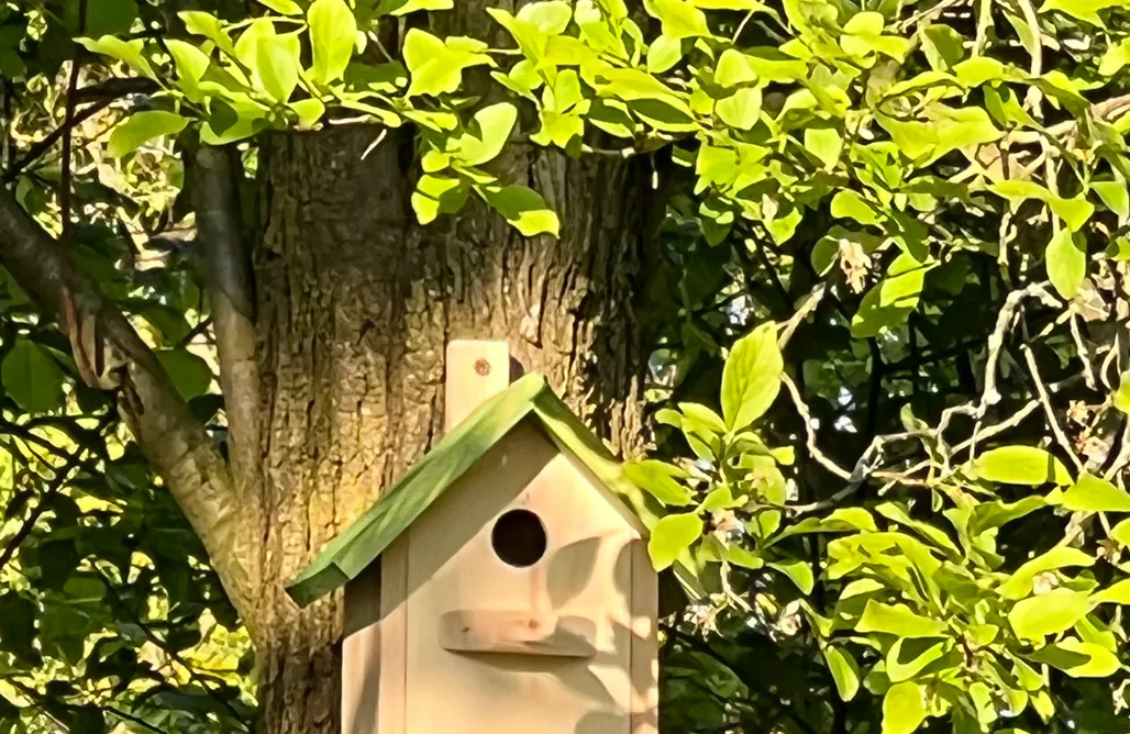 Osiedle Wilga noclegi Klimatyczna Willa  3