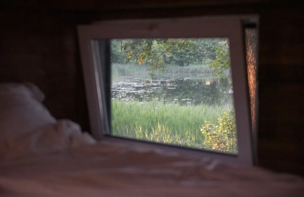 AlohaCamp Azyl w lesie 3