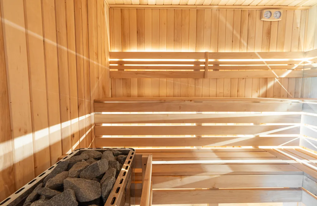 Noc Spadających Gwiazd 2026 💫 Słoneczne Chatki 1