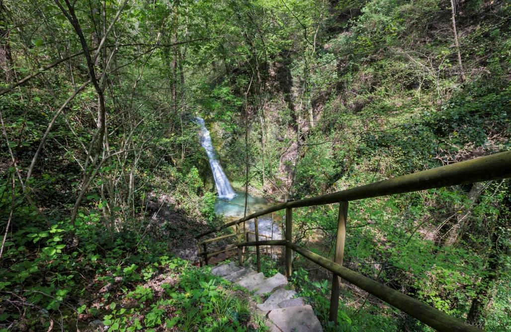 Alloggi AlohaCamp Antico Mulino Baderem 4