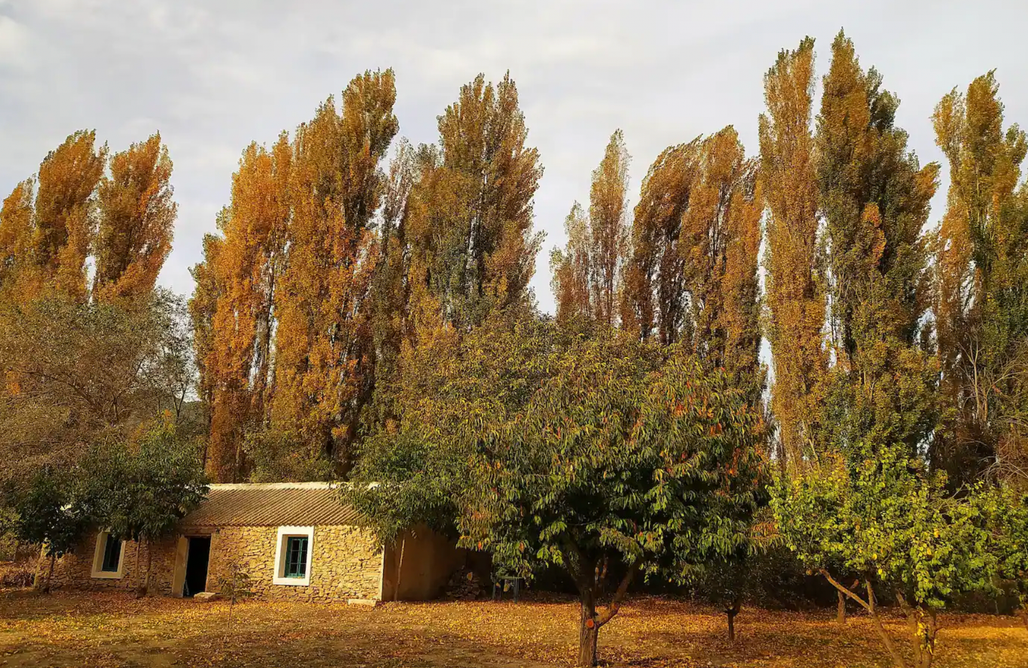 AlohaCamp accommodation Apartamento Villafuerte 1