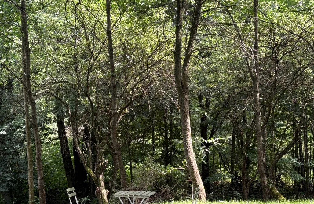 Rutka-Tartak Domki Leonówka 1