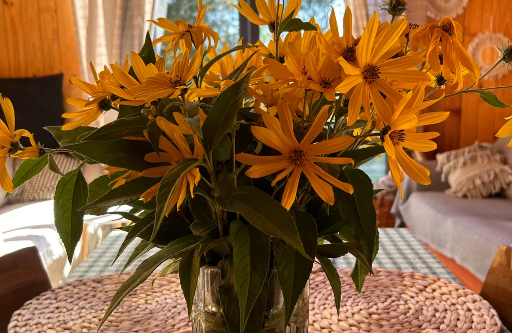 noclegi AlohaCamp Agroturystyka Kostomłoty Nad Bugiem  1