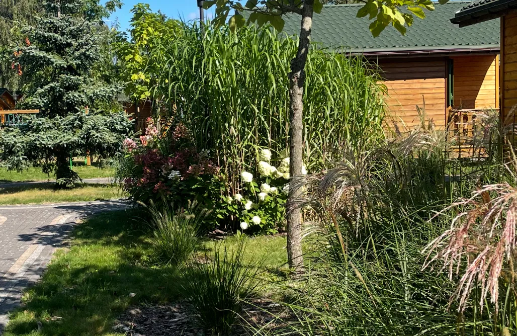 Domki w Lesie Słoneczna Polana 3